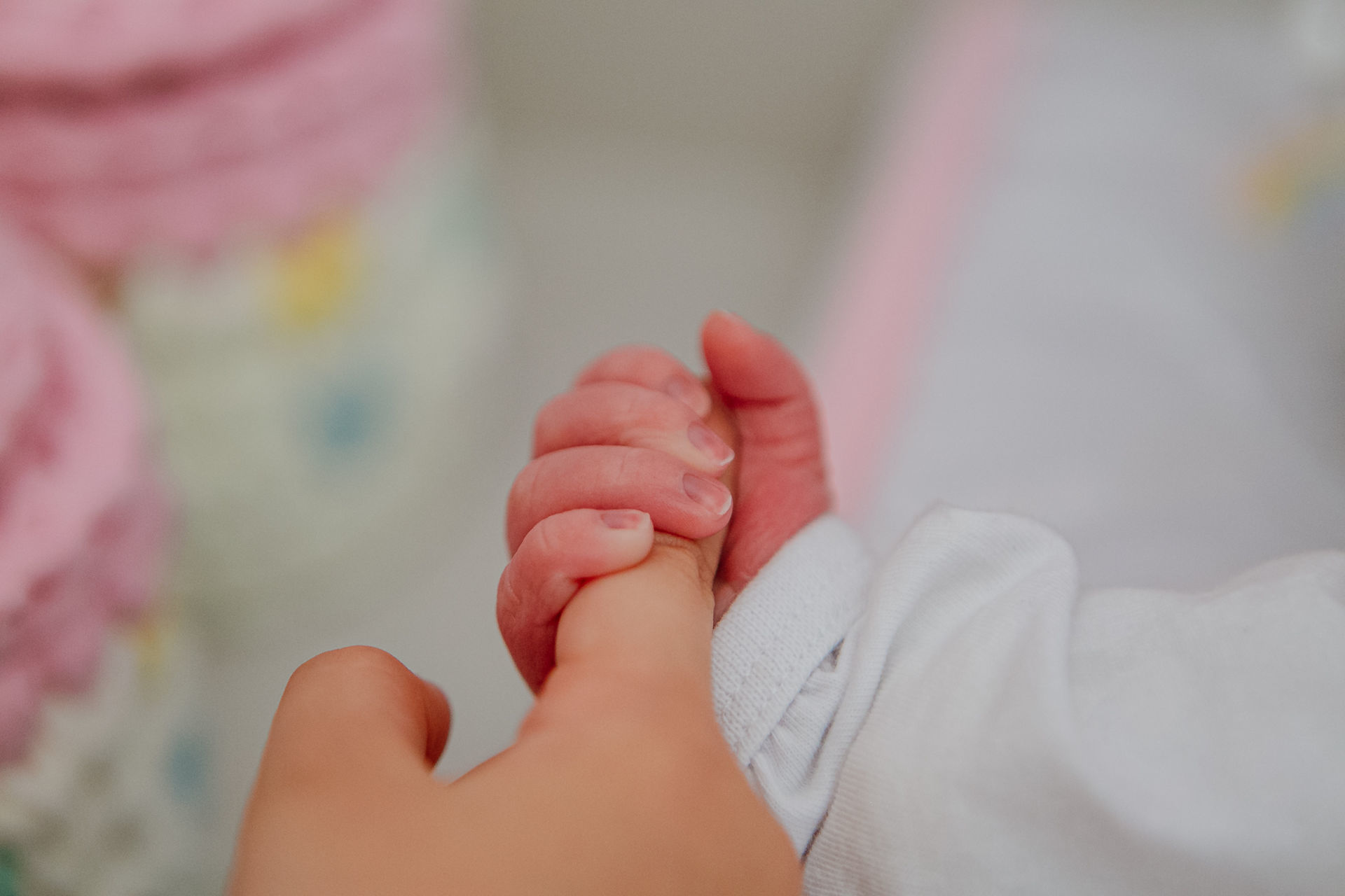 Foto O primeiro encontro de irmãs. Foto O primeiro encontro de irmãs. - Imagem 14